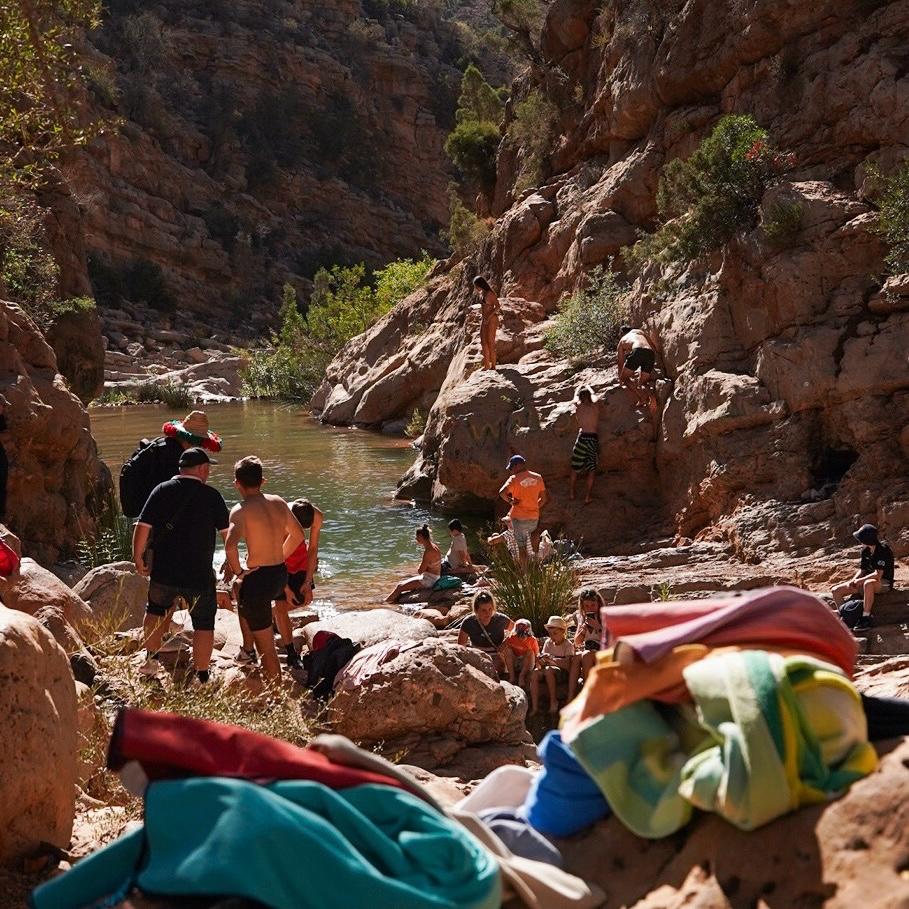 c48f3b4d 1c58 414e 940b be1e87d5ccb6