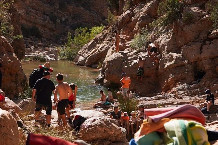 c48f3b4d 1c58 414e 940b be1e87d5ccb6